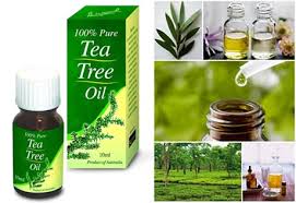 Tea Tree Oil